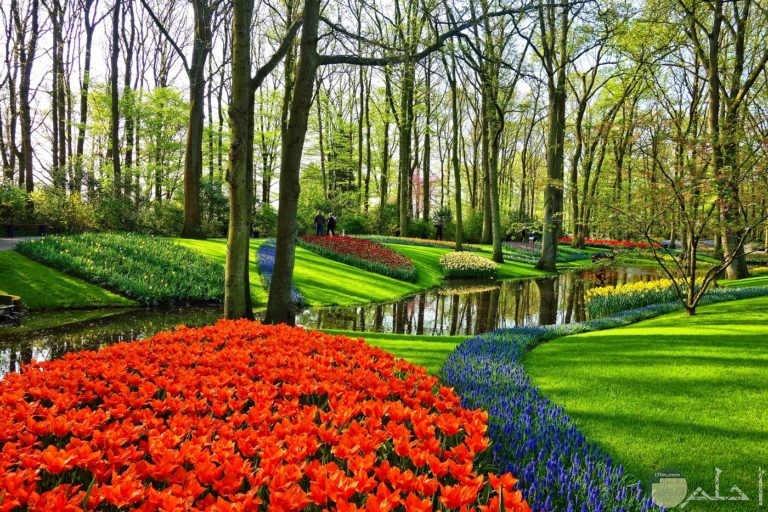 رمزيات احلى حدائق هولندا